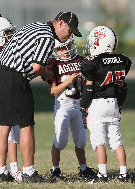 马尔穆什的 马尔穆什的