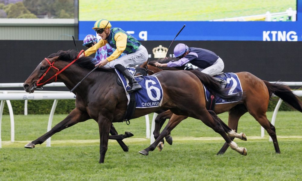 冒险过掉门 冒险过掉门