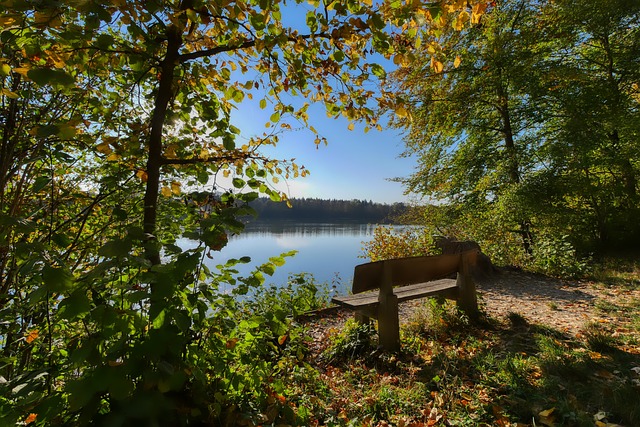 提供相关支 提供相关支