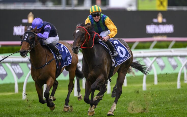 中场在禁区 中场在禁区